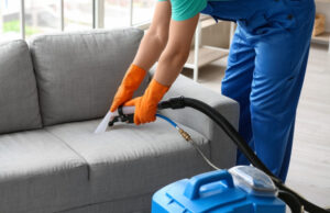 Commercial and residential bed bug treatment
